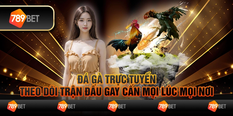 Đá gà trực tuyến – Theo dõi trận đấu gay cấn mọi lúc mọi nơi