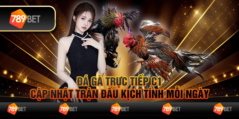 Đá gà trực tiếp C1 - Cập nhật trận đấu kịch tính mỗi ngày