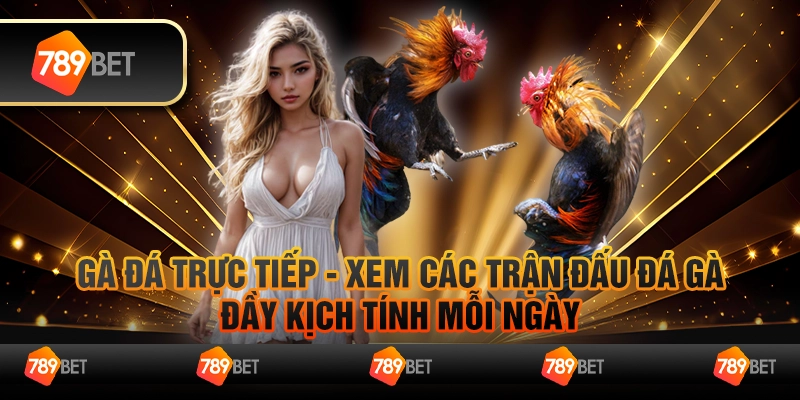 Gà đá trực tiếp - Xem các trận đấu đá gà đầy kịch tính mỗi ngày