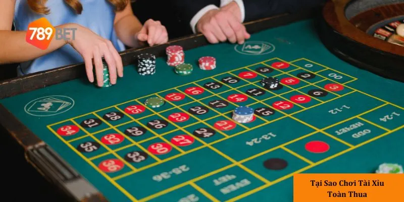 Hiểu sai về tỷ lệ thắng và xác suất trong Tài Xỉu