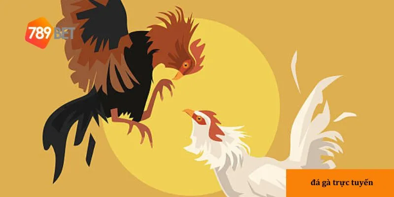 Ưu điểm khi chơi đá gà trực tuyến