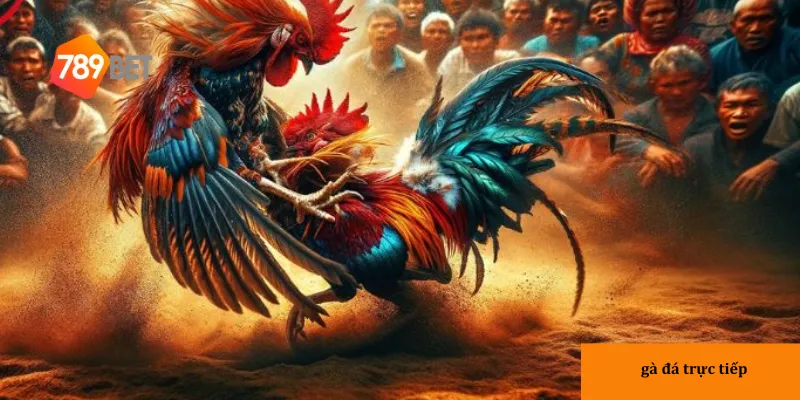 Bí quyết thắng lớn từ cao thủ