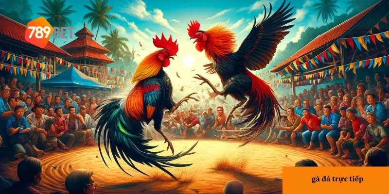 Trải nghiệm đầy sống động với các trận đá gà bắt mắt