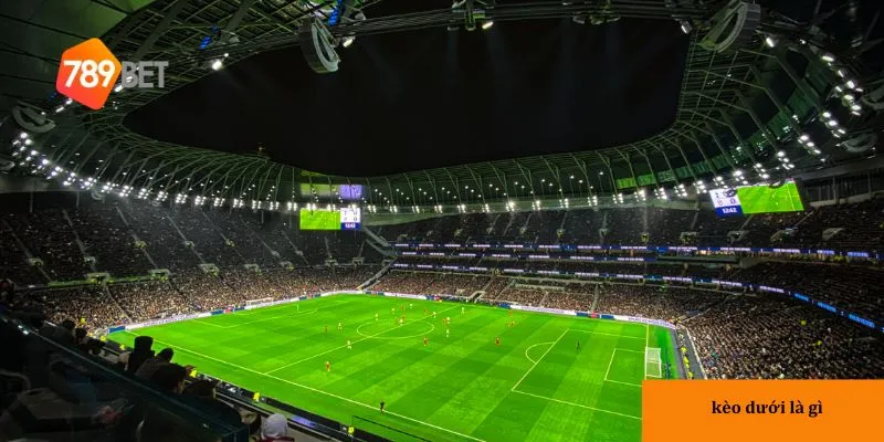 3 loại kèo dưới phổ biến tại nhà cái