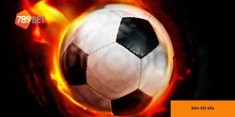 Cách thức đọc kèo tài xỉu