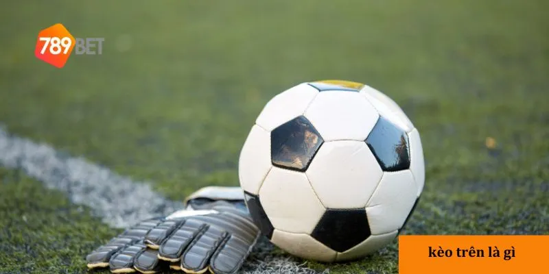 Phân tích kỹ lưỡng trước khi đặt cược tịa nhà cái