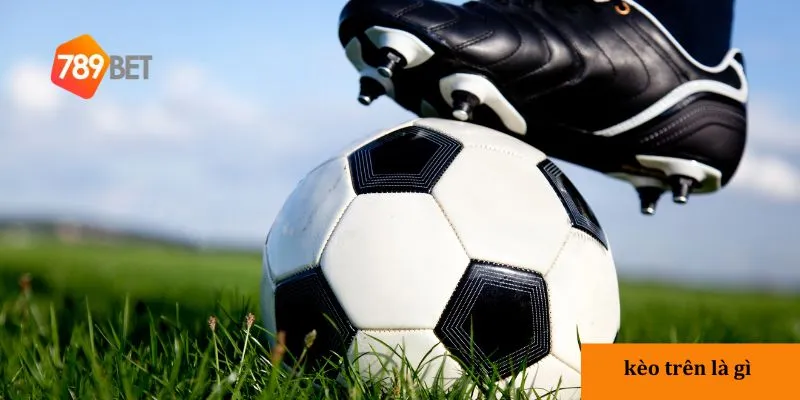 Tếu tố ảnh hưởng đến kèo trên là gì