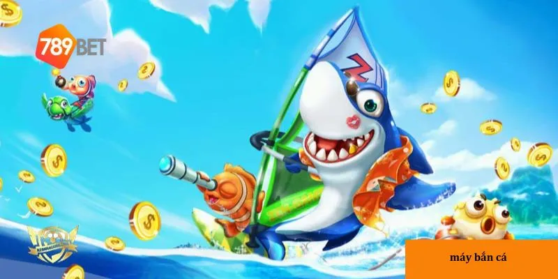 3 bước cho người mới bắt đầu