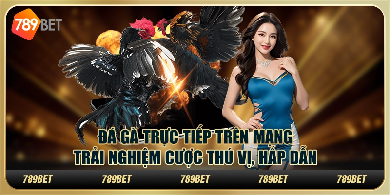 Đá gà trực tiếp trên mạng: Trải nghiệm cược thú vị, hấp dẫn