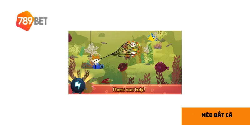 Mèo Bắt Cá thu hút người chơi nhờ lối chơi đơn giản và hấp dẫn.