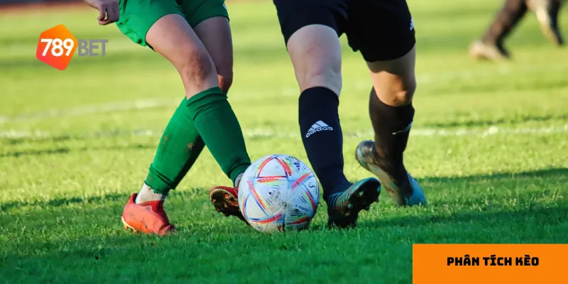 Cách hiểu và phân tích kèo phổ biến