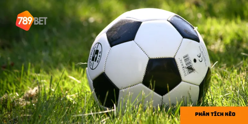 mẹo tối ưu cơ hội thắng cược