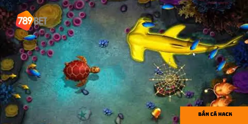 Giới thiệu công cụ hack phổ biến