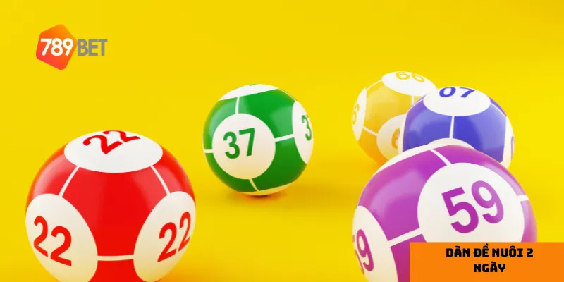 Lý do nên chọn dàn đề nuôi 2 ngày