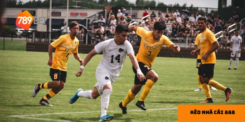 Cập nhật và phân tích kèo nhà cái 888 tại 789bet