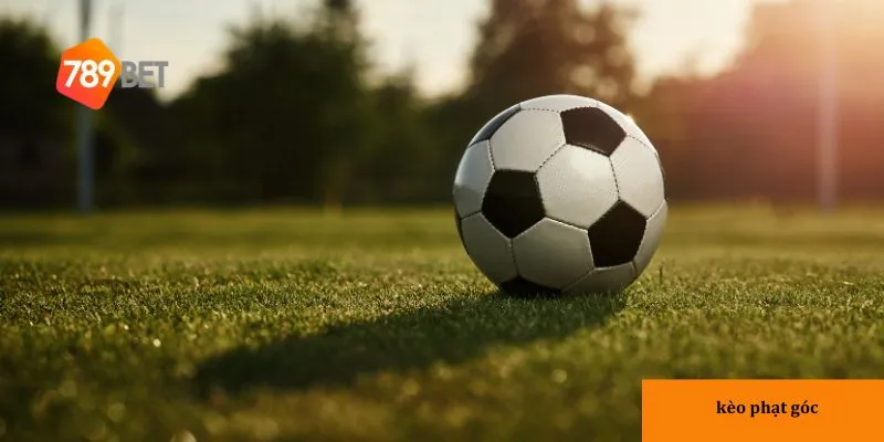 Bí quyết chơi kèo phạt góc hiệu quả