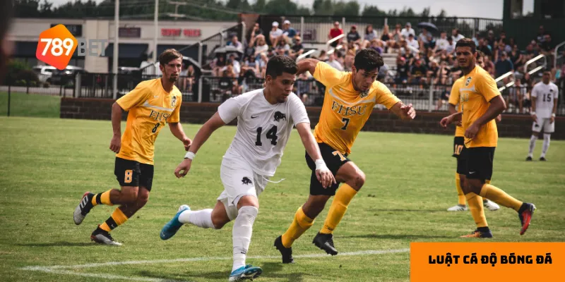 Quy định về độ tuổi và trách nhiệm pháp lý