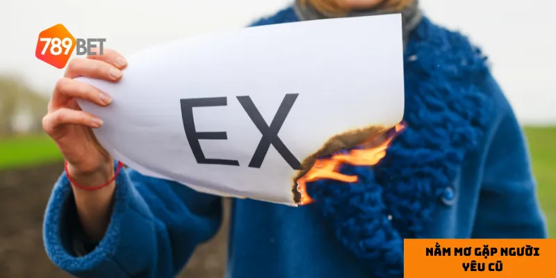 Các tình huống trong giấc mơ phản ánh cảm xúc và tâm lý của bạn trong hiện tại.