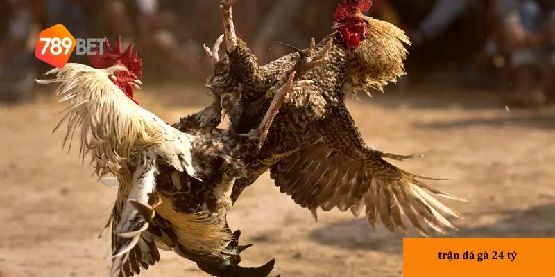 Ý nghĩa và tác động của trận đấu