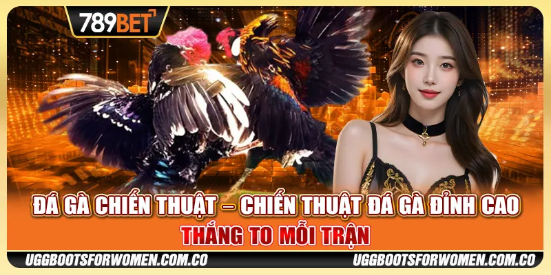 Đá Gà Chiến Thuật – Chiến Thuật Đá Gà Đỉnh Cao Mỗi Trận