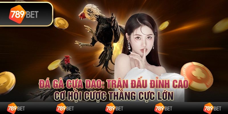 Đá gà cựa dao: Trận đấu đỉnh cao, cơ hội cược thắng cực lớn