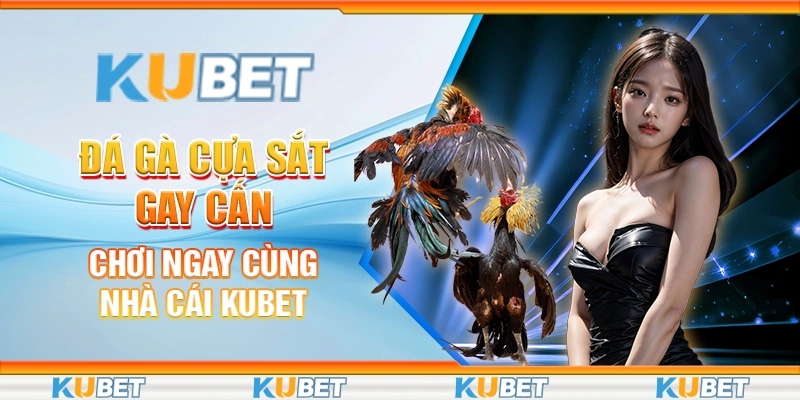 đá gà cựa sắt