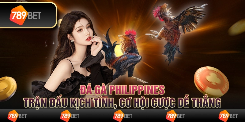 Đá gà Philippines: Trận đấu kịch tính, cơ hội cược dễ thắng