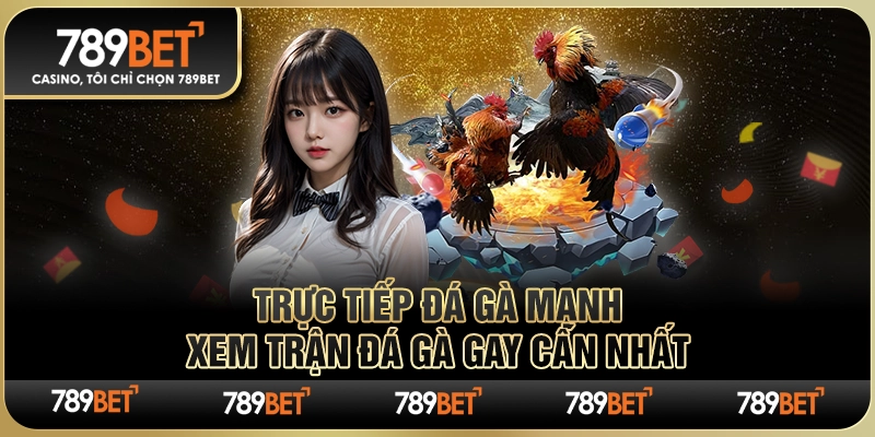 Trực Tiếp Đá Gà Mạnh 789BET – Xem Trận Đá Gà Gay Cấn Nhất