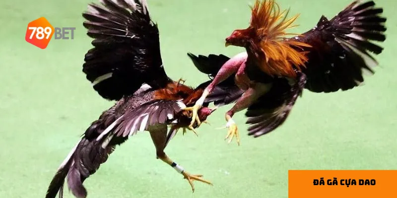 Chọn kèo cược phù hợp giúp bạn tối ưu hóa cơ hội chiến thắng.