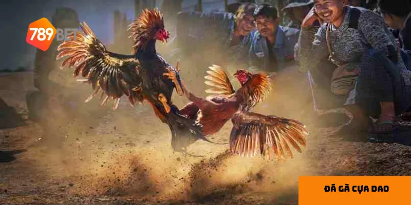 Những trận đấu kịch tính mang lại cảm giác hồi hộp cho người xem.