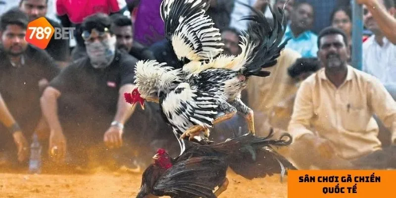 Quy mô tổ chức chuyên nghiệp tạo nên sức hút lớn cho giải đấu.