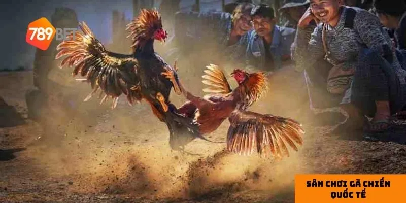 Đăng ký tài khoản nhanh chóng giúp bạn tham gia sân chơi dễ dàng.