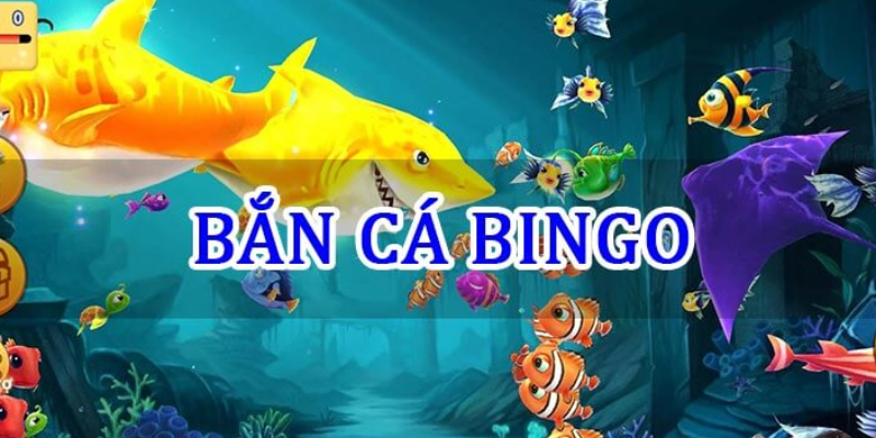 Thông tin về trò chơi bắn cá bingo