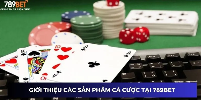 Giới thiệu các sản phẩm cá cược tại 789BET