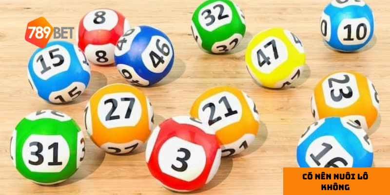 Nuôi lô đòi hỏi sự kiên nhẫn và kế hoạch dài hạn.