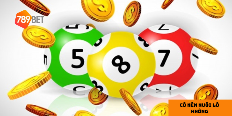 Nuôi lô giúp giảm rủi ro và mang lại cảm giác an toàn hơn khi chơi.