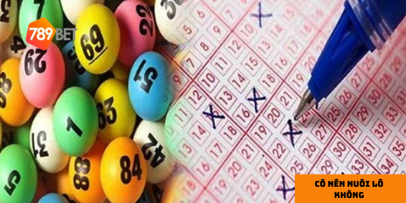 Tài chính là yếu tố quan trọng để thành công khi nuôi lô.