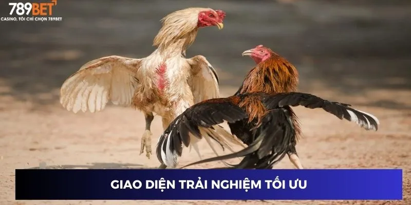 Giao diện trải nghiệm tối ưu