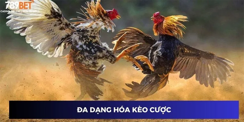 Đa dạng hóa kèo cược