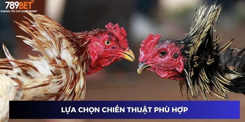 Lựa chọn chiến thuật phù hợp
