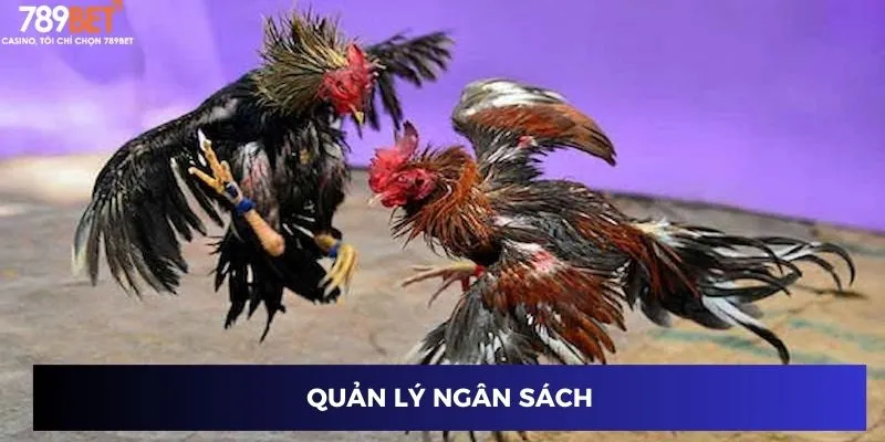 Quản lý ngân sách