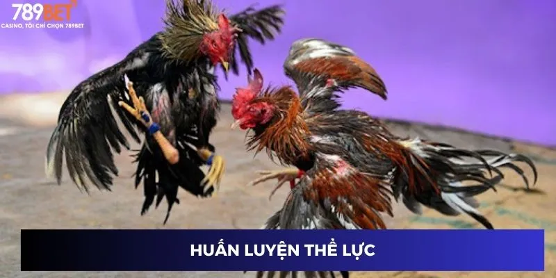 Huấn luyện thể lực