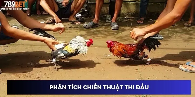 Phân tích chiến thuật thi đấu