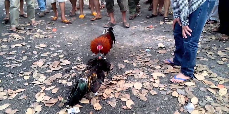 Các bước tham gia nhanh chóng và hiệu quả