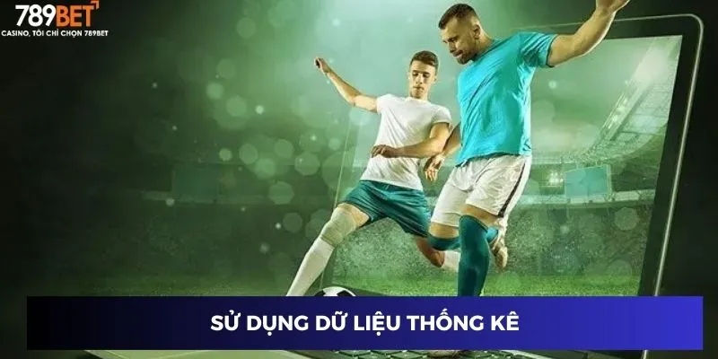 Sử dụng dữ liệu thống kê
