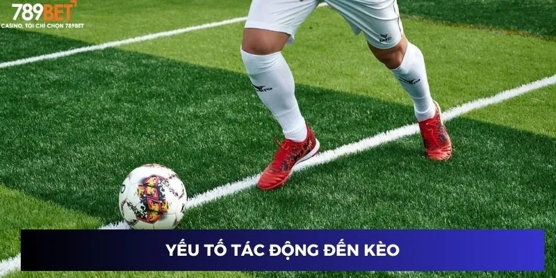 Yếu tố tác động đến kèo