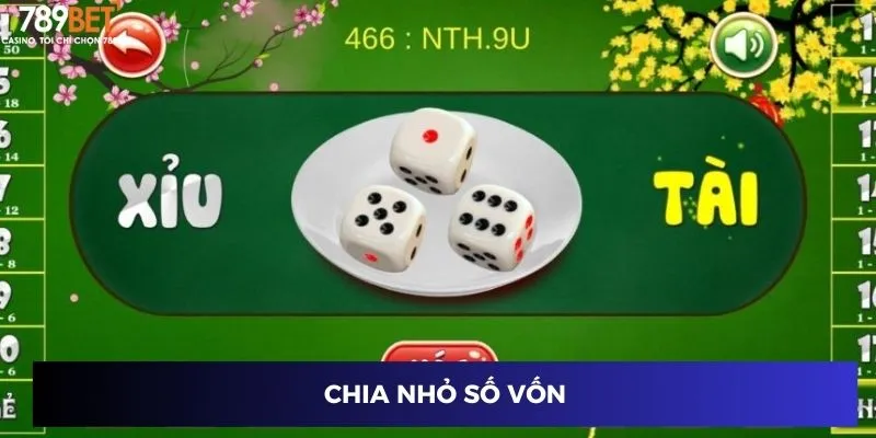 Chia nhỏ số vốn