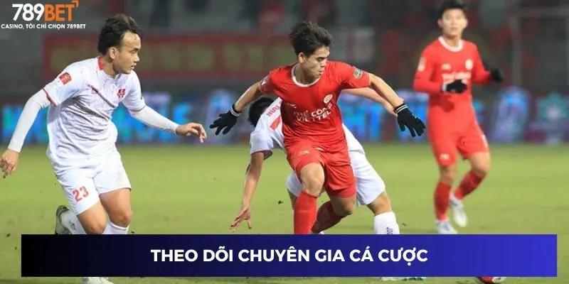 Theo dõi chuyên gia cá cược