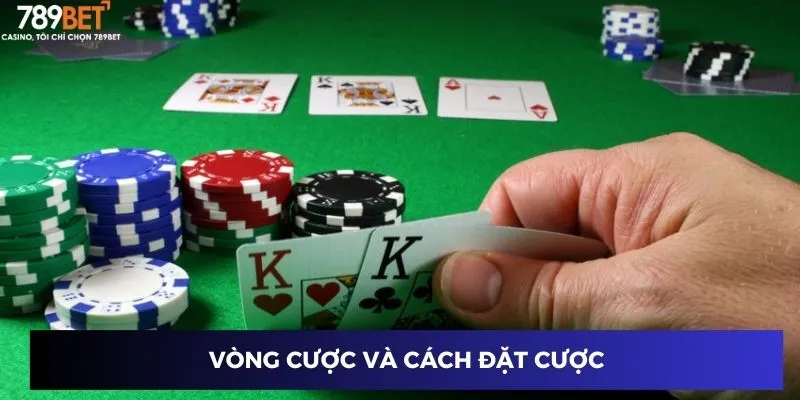 Vòng cược và cách đặt cược