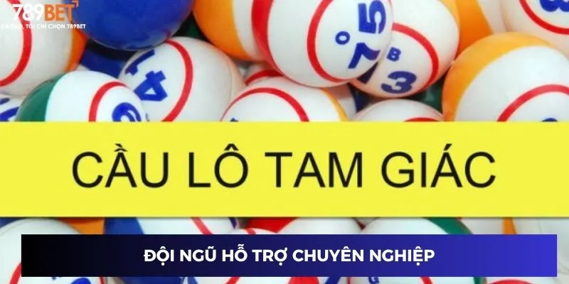 Đội ngũ hỗ trợ chuyên nghiệp